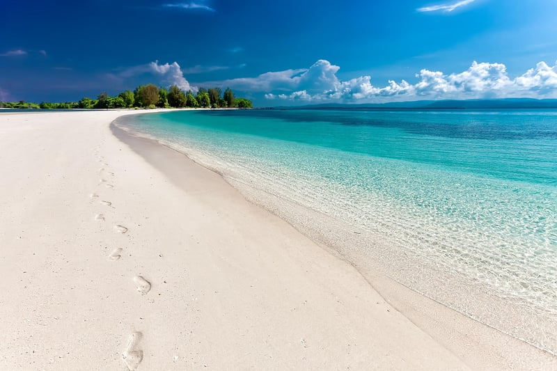 Beachfront Resort Image 1
